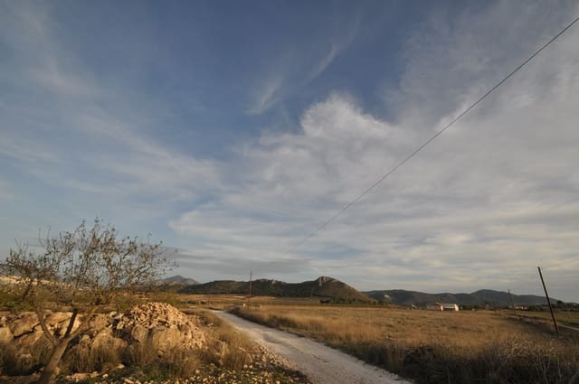 Terre non Aménagée à vendre à Abanilla - 85 995 € (Ref: 8901678)