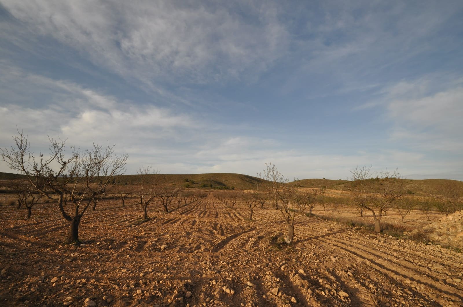 Teren niezagospodarowany na sprzedaż w Abanilla - 85 995 € (Ref: 8901678)