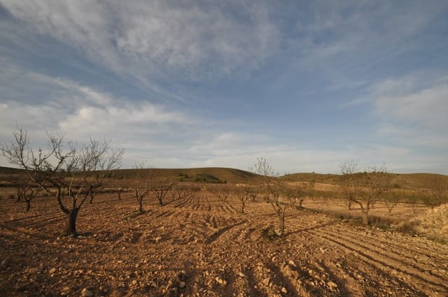 Terre non Aménagée à vendre à Abanilla - 85 995 € (Ref: 8901678)