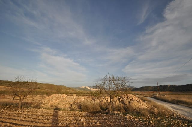 Terre non Aménagée à vendre à Abanilla - 85 995 € (Ref: 8901678)