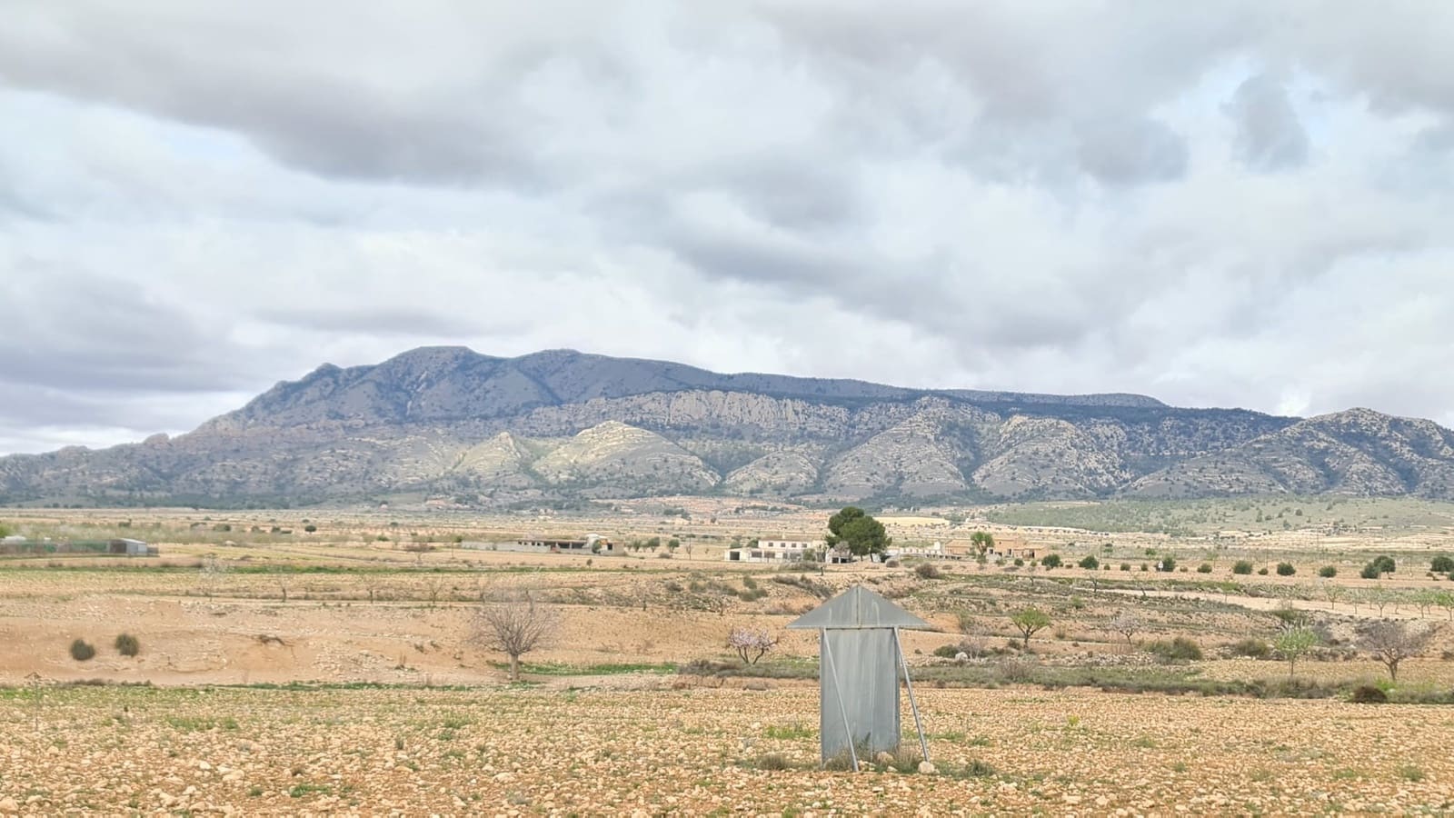 3 soverom Villa til salgs i Torre del Rico med svømmebasseng - € 360 000 (Ref: 8903937)