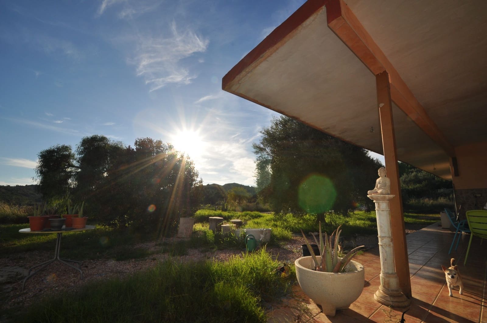 5 bedroom Villa for sale in Aspe with pool - € 239,995 (Ref: 8904776)