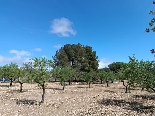 Finca/Herregård til salgs i Yecla - € 29 000 (Ref: 8920399)