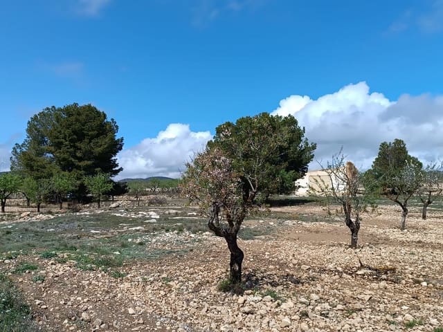 Finca/Herregård til salgs i Yecla - € 29 000 (Ref: 8920399)