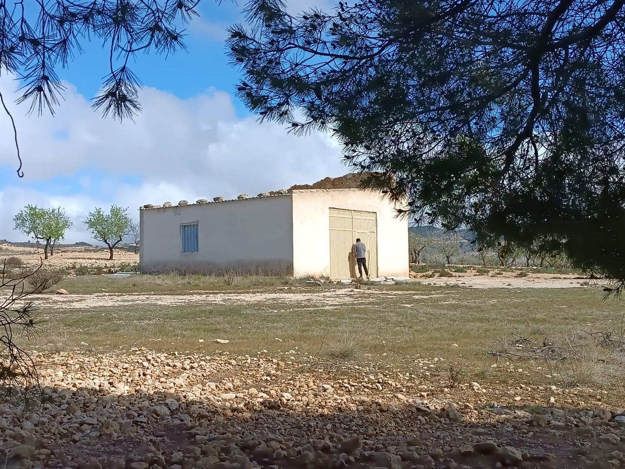 Finca/Herregård til salgs i Yecla - € 29 000 (Ref: 8920399)