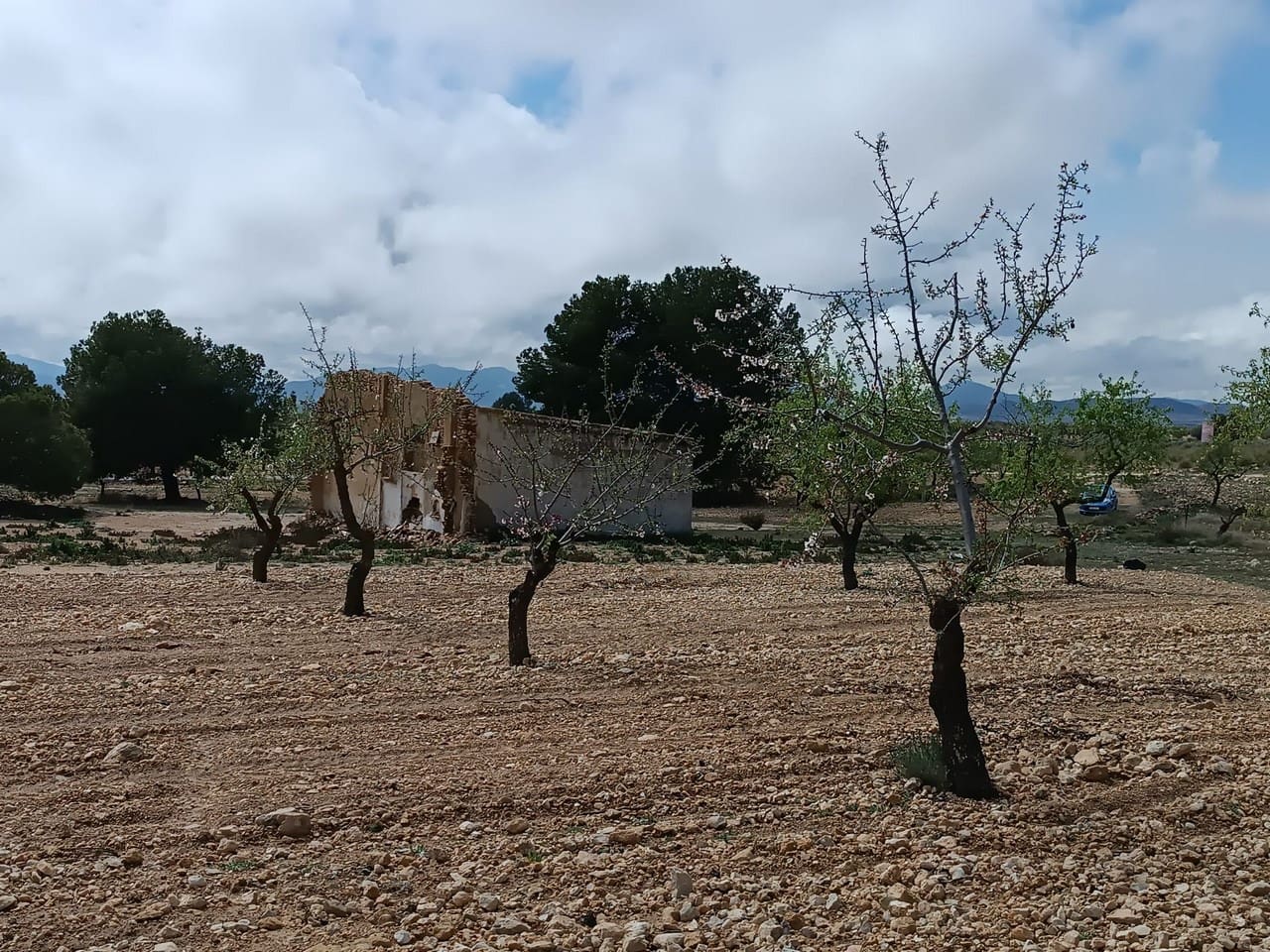 Finca/Herregård til salgs i Yecla - € 29 000 (Ref: 8920399)