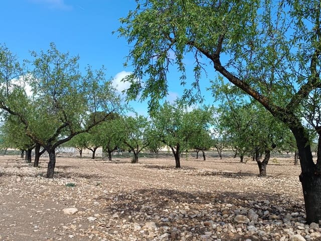 Finca/Herregård til salgs i Yecla - € 29 000 (Ref: 8920399)