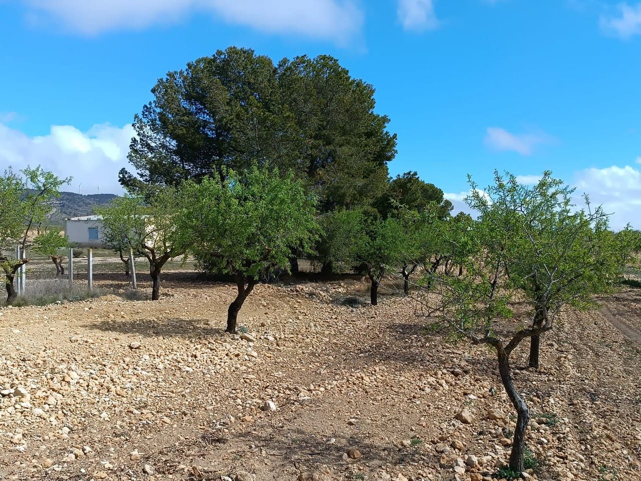 Finca/Herregård til salgs i Yecla - € 29 000 (Ref: 8920399)