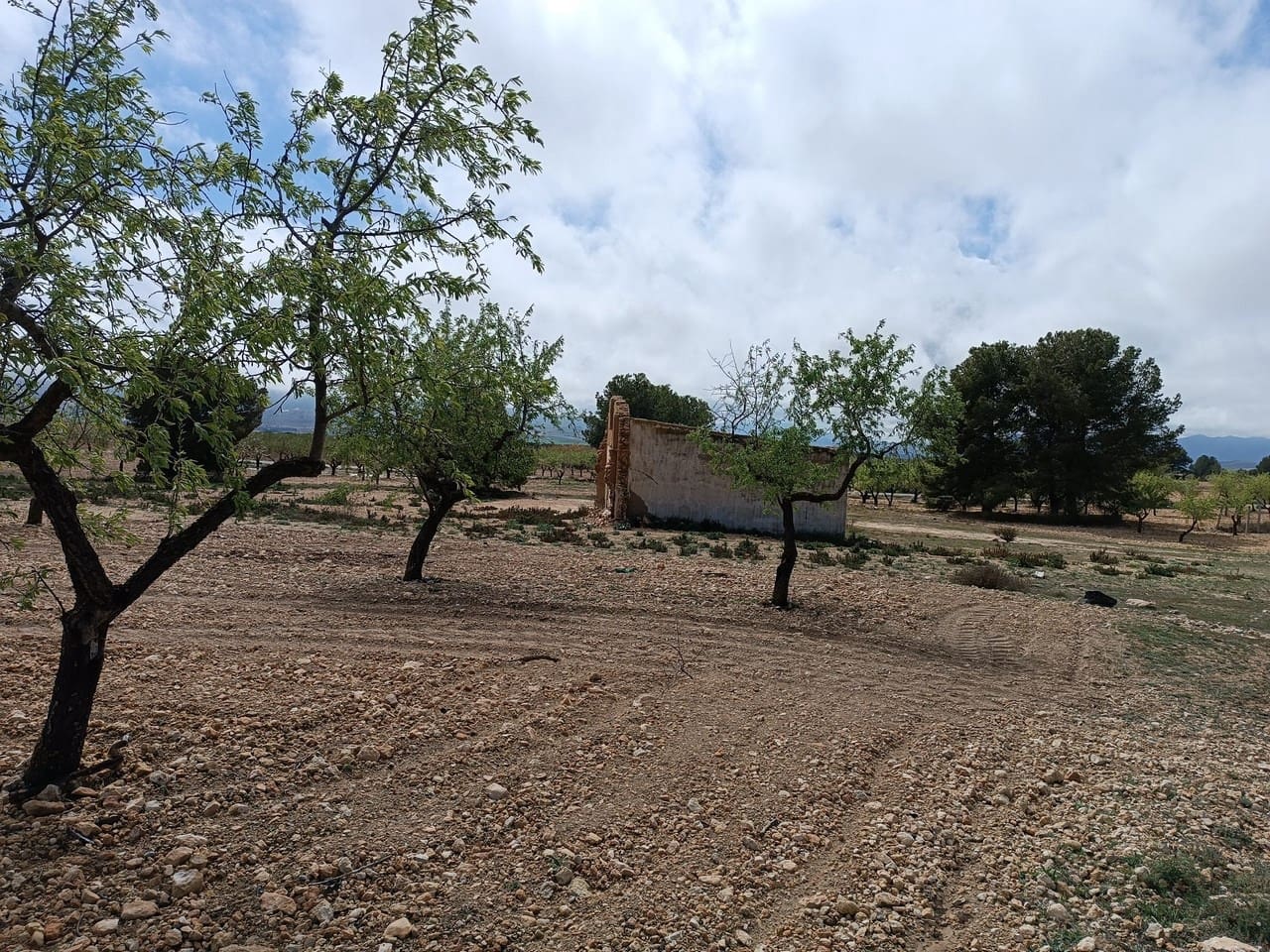 Finca/Herregård til salgs i Yecla - € 29 000 (Ref: 8920399)