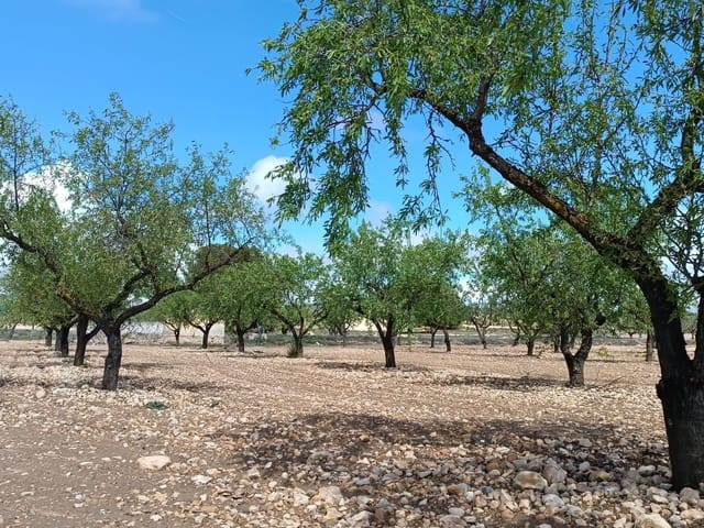 Terre non Aménagée à vendre à Yecla - 12 000 € (Ref: 8920400)