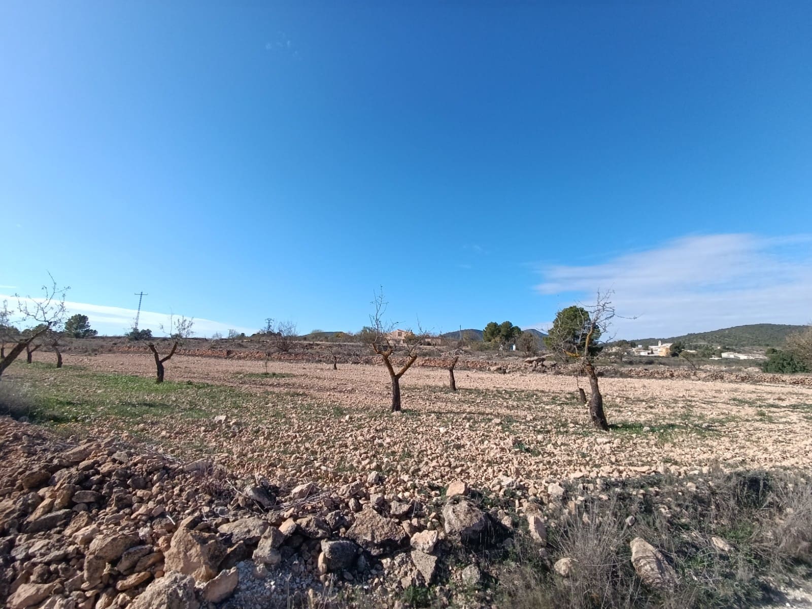 2 chambre Finca/Maison de Campagne à vendre à Yecla - 56 000 € (Ref: 8920430)