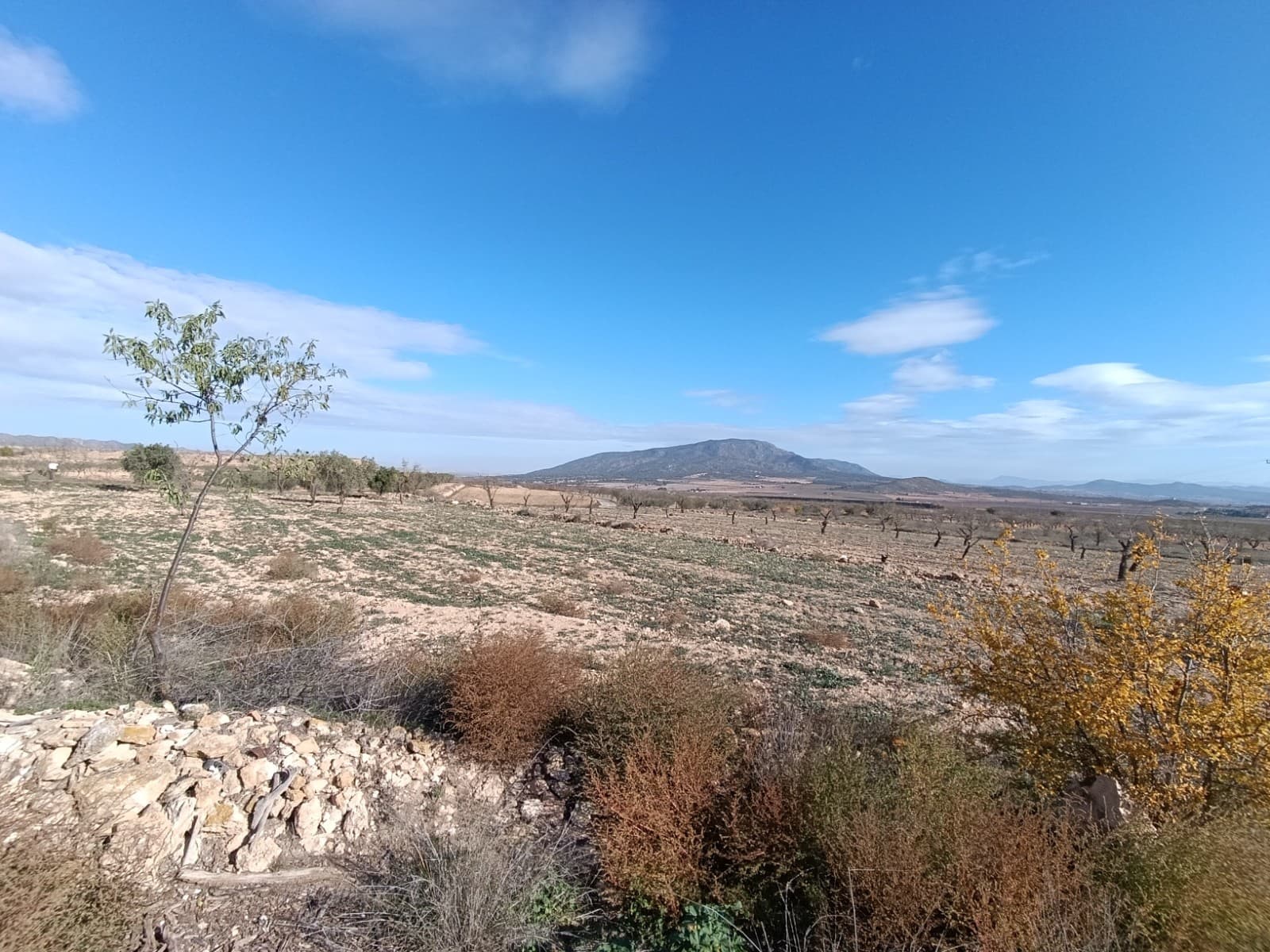 2 chambre Finca/Maison de Campagne à vendre à Yecla - 56 000 € (Ref: 8920430)