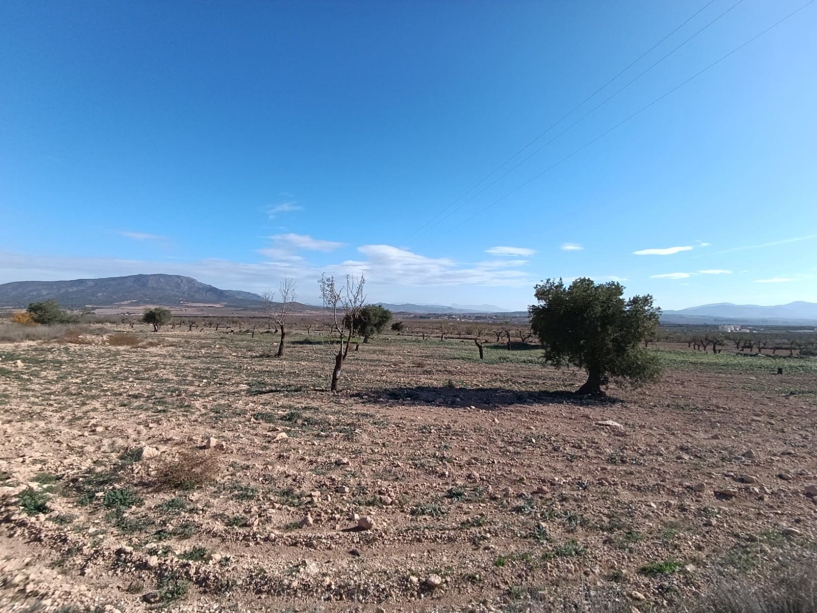 2 chambre Finca/Maison de Campagne à vendre à Yecla - 56 000 € (Ref: 8920430)