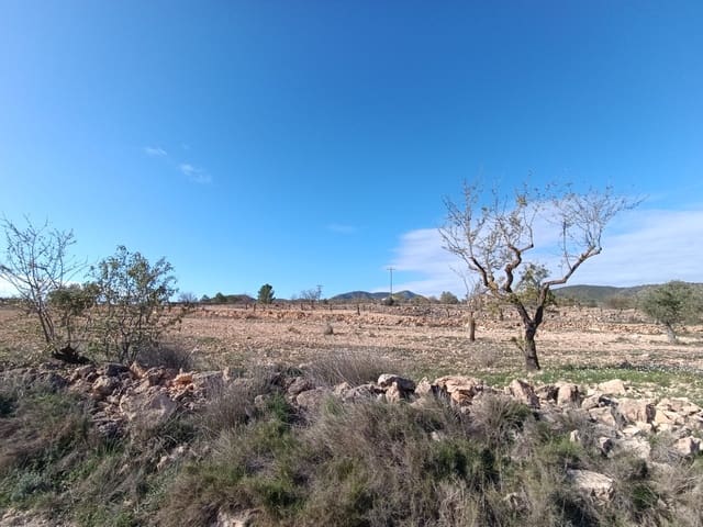 2 quarto Quinta/Casa Rural para venda em Yecla - 56 000 € (Ref: 8920430)