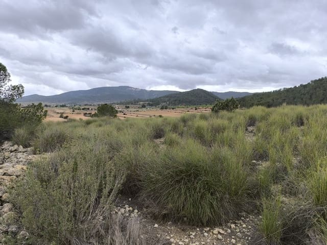 Undeveloped Land for sale in Chinorlet / Xinorlet, Monóvar / Monóver - € 34,995 (Ref: 8923290)