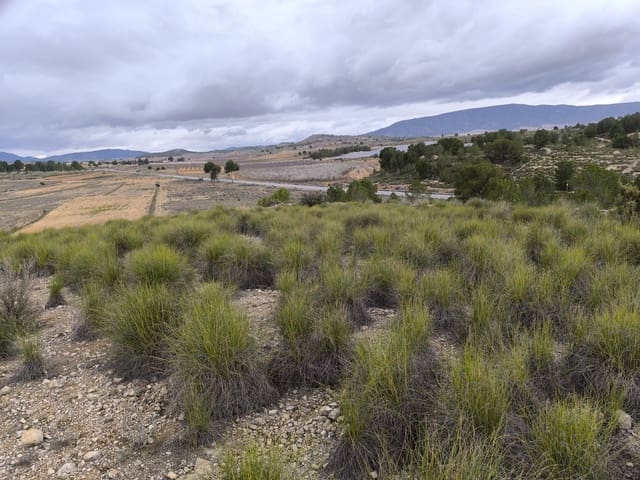 Undeveloped Land for sale in Chinorlet / Xinorlet, Monóvar / Monóver - € 34,995 (Ref: 8923290)