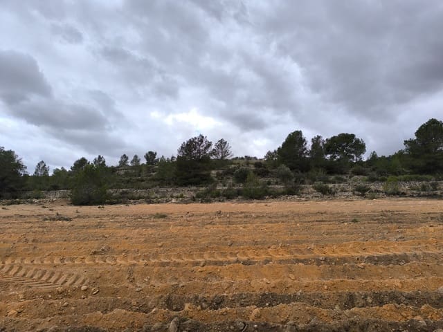 Undeveloped Land for sale in Chinorlet / Xinorlet, Monóvar / Monóver - € 34,995 (Ref: 8923291)