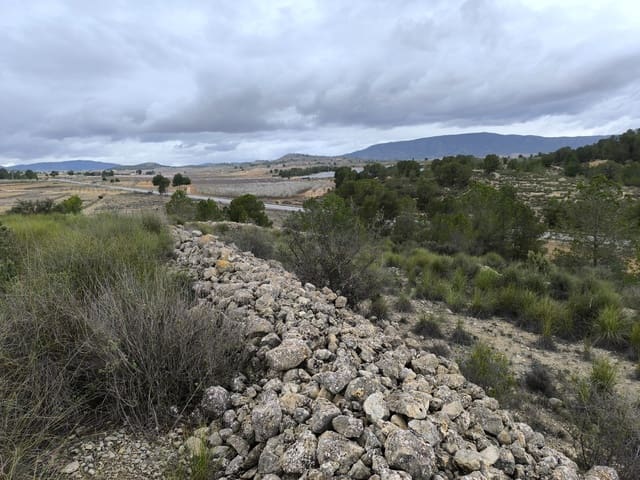 Undeveloped Land for sale in Chinorlet / Xinorlet, Monóvar / Monóver - € 34,995 (Ref: 8923291)