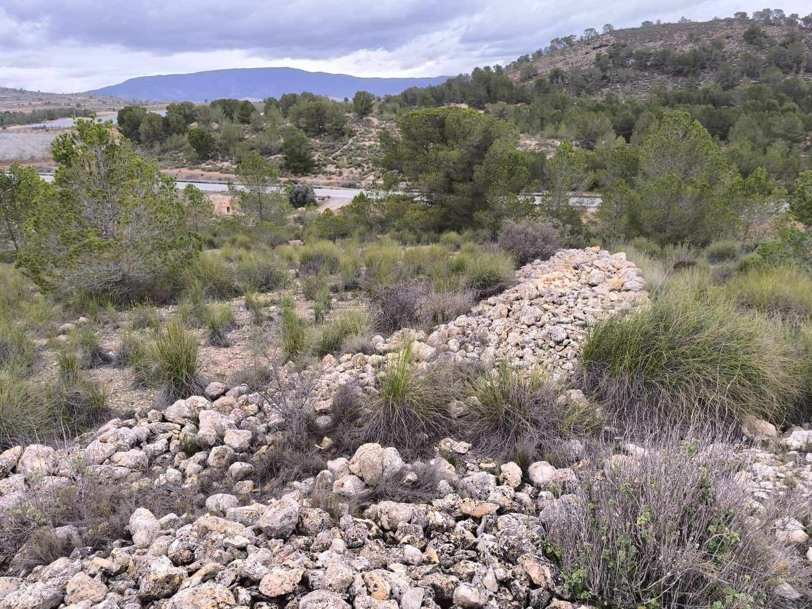 Grunde uden byggetilladelser til salg i Chinorlet / Xinorlet - € 34.995 (Ref: 8923291)