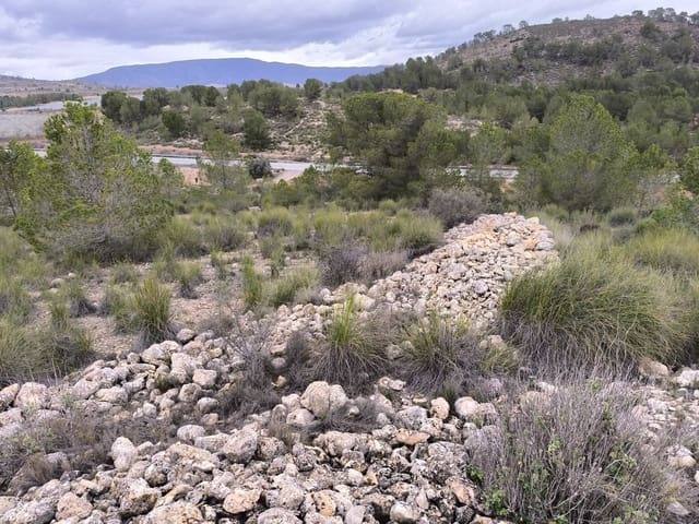 Undeveloped Land for sale in Chinorlet / Xinorlet, Monóvar / Monóver - € 34,995 (Ref: 8923291)