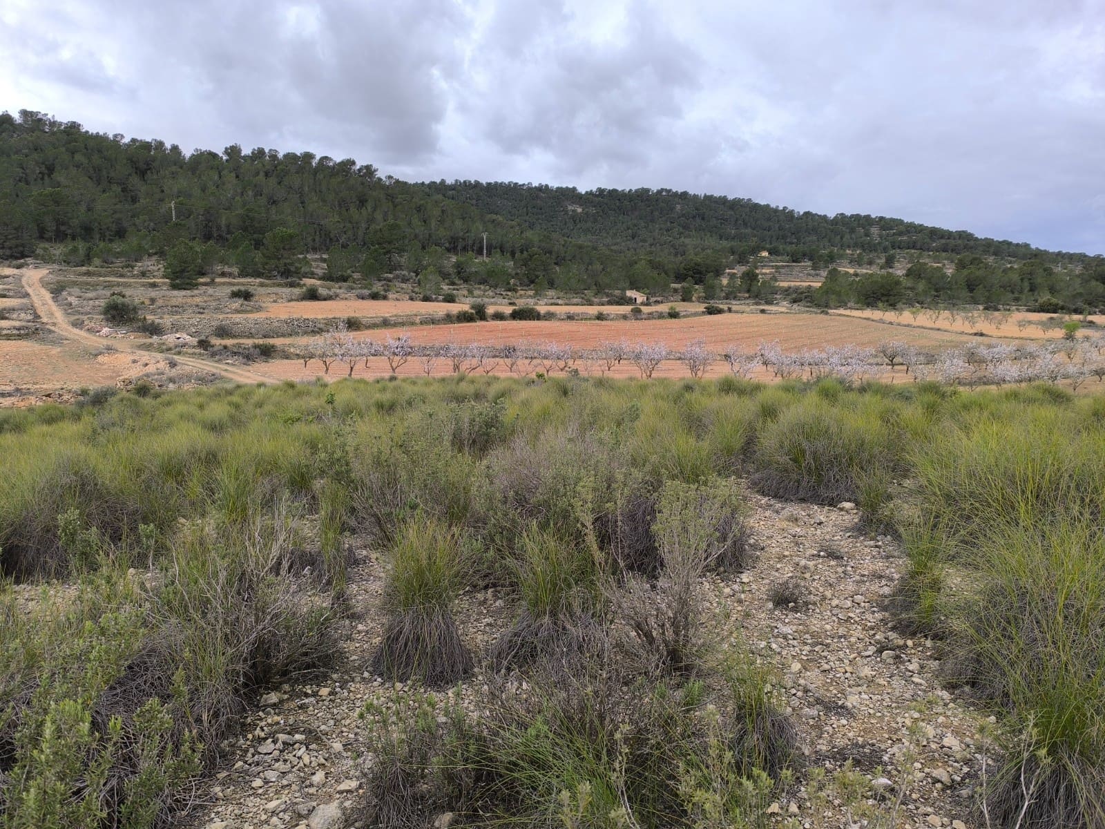 Grunde uden byggetilladelser til salg i Chinorlet / Xinorlet - € 34.995 (Ref: 8923291)