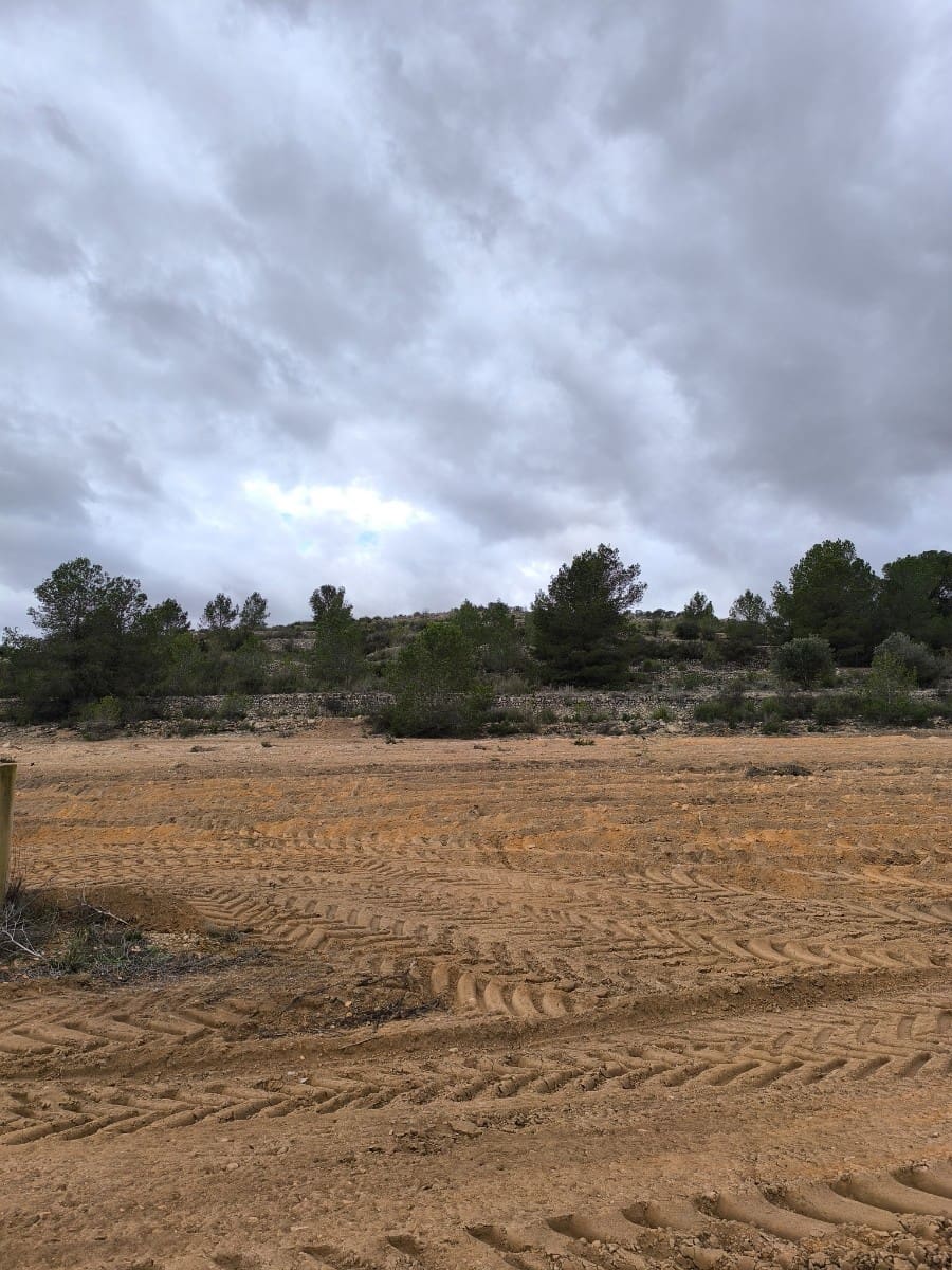 Grunde uden byggetilladelser til salg i Chinorlet / Xinorlet - € 34.995 (Ref: 8923291)