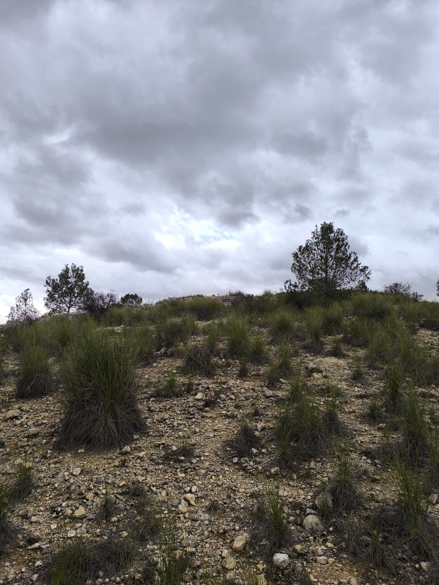 Grunde uden byggetilladelser til salg i Chinorlet / Xinorlet - € 34.995 (Ref: 8923291)