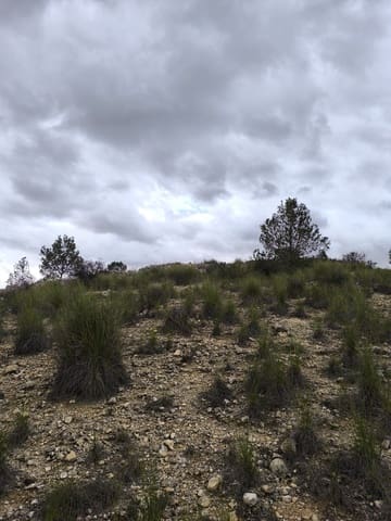 Undeveloped Land for sale in Chinorlet / Xinorlet, Monóvar / Monóver - € 34,995 (Ref: 8923291)