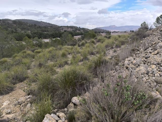 Undeveloped Land for sale in Chinorlet / Xinorlet, Monóvar / Monóver - € 34,995 (Ref: 8923291)