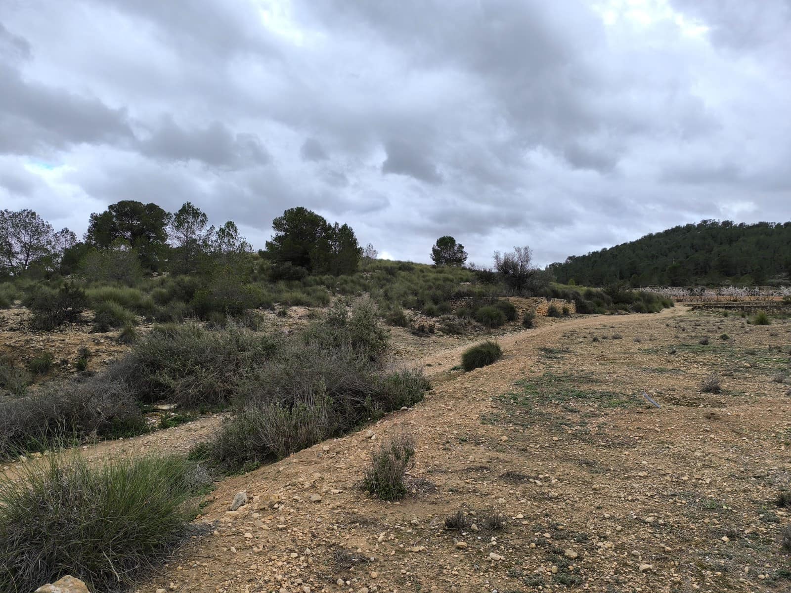 Grunde uden byggetilladelser til salg i Chinorlet / Xinorlet - € 34.995 (Ref: 8923291)