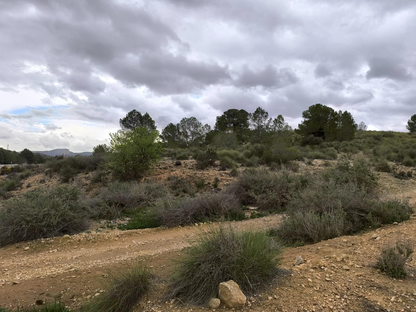 Grunde uden byggetilladelser til salg i Chinorlet / Xinorlet - € 34.995 (Ref: 8923291)