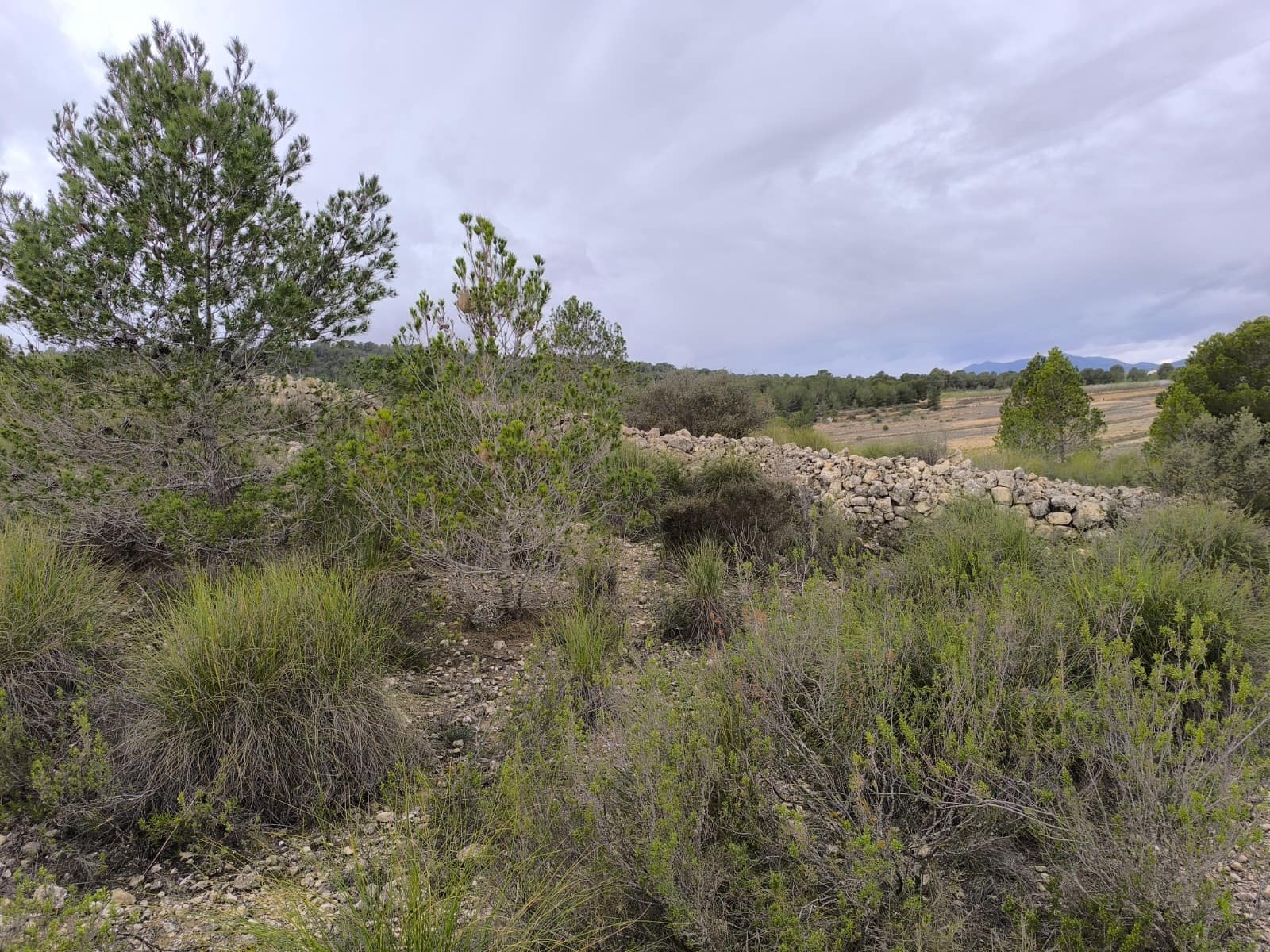 Grunde uden byggetilladelser til salg i Chinorlet / Xinorlet - € 34.995 (Ref: 8923291)