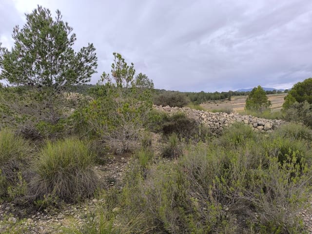 Undeveloped Land for sale in Chinorlet / Xinorlet, Monóvar / Monóver - € 34,995 (Ref: 8923291)