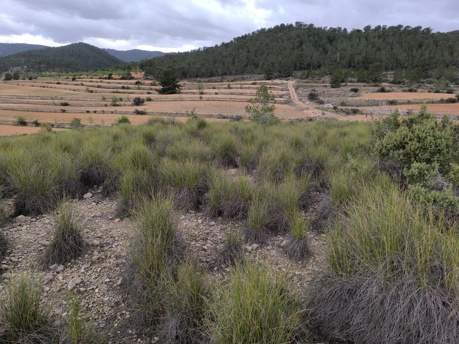 Grunde uden byggetilladelser til salg i Chinorlet / Xinorlet - € 34.995 (Ref: 8923291)