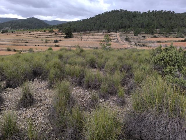 Undeveloped Land for sale in Chinorlet / Xinorlet, Monóvar / Monóver - € 44,995 (Ref: 8923291)