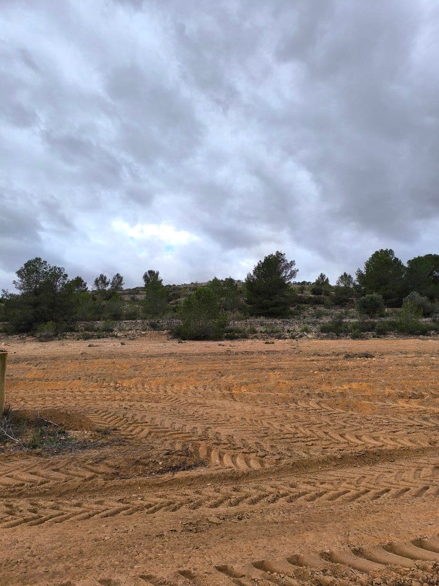 Undeveloped Land for sale in Chinorlet / Xinorlet - € 44,995 (Ref: 8923291)