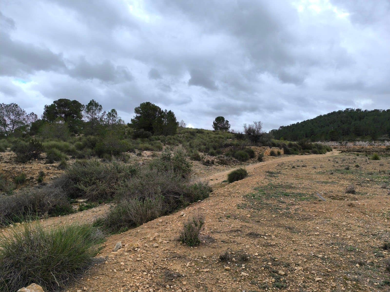 Undeveloped Land for sale in Chinorlet / Xinorlet - € 44,995 (Ref: 8923291)