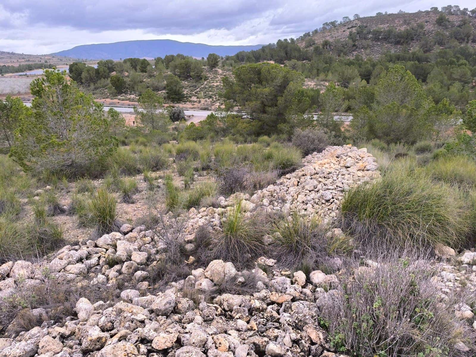Undeveloped Land for sale in Chinorlet / Xinorlet - € 44,995 (Ref: 8923291)
