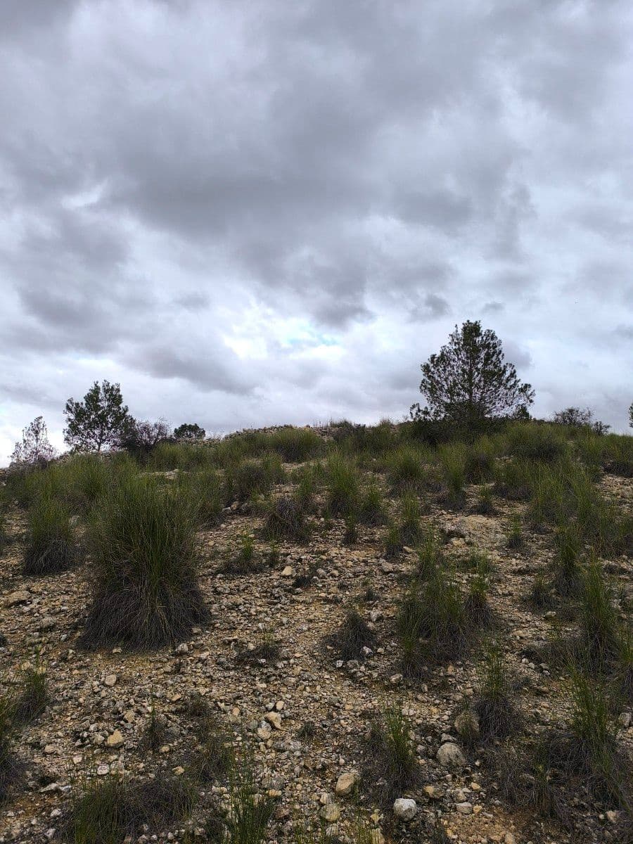 Undeveloped Land for sale in Chinorlet / Xinorlet - € 44,995 (Ref: 8923291)