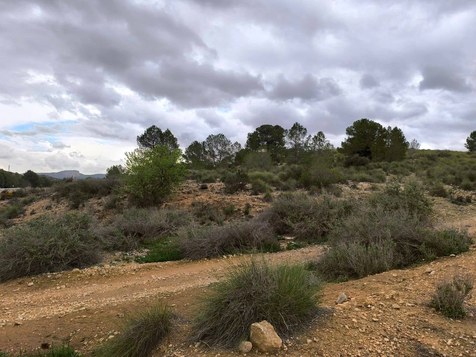 Undeveloped Land for sale in Chinorlet / Xinorlet - € 44,995 (Ref: 8923291)