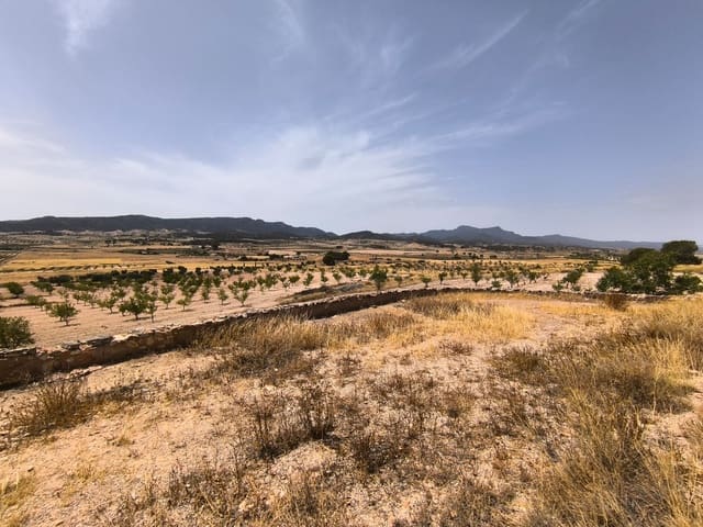 6 Zimmer Finca/Landgut zu verkaufen in Torre del Rico, Jumilla - 89.000 € (Ref: 8925397)