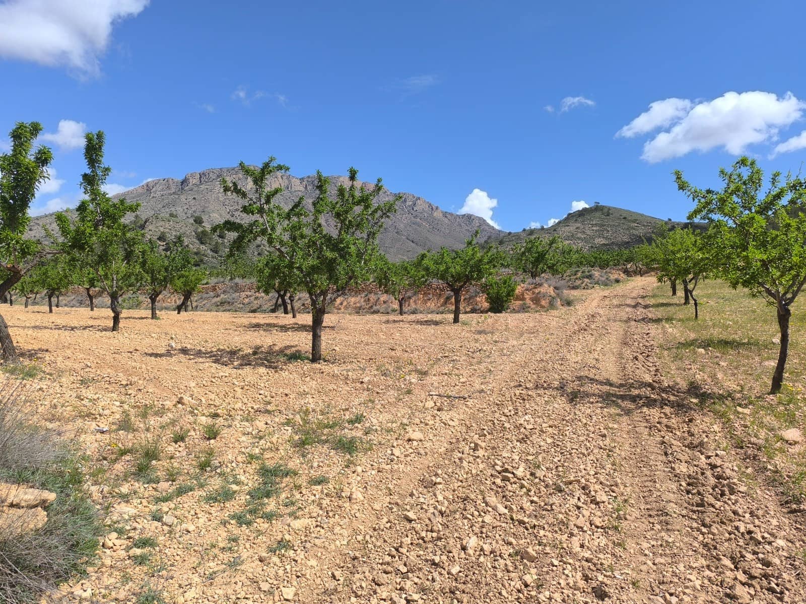 Grond te koop in Orihuela - € 36.000 (Ref: 8927143)