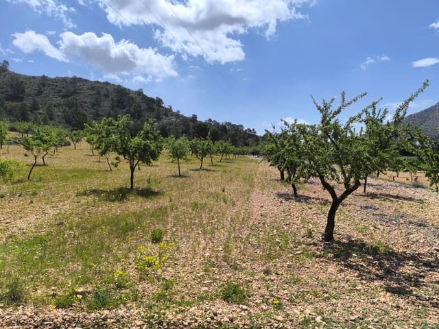 Ubebygd land til salgs i Orihuela - € 36 000 (Ref: 8927143)