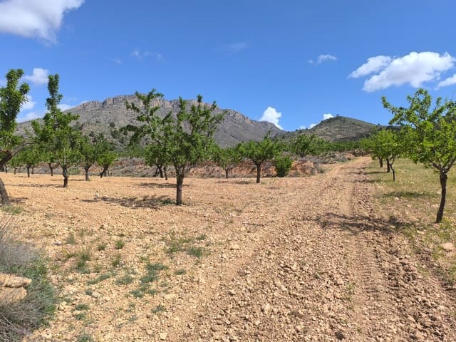 Undeveloped Land for sale in Orihuela - € 36,000 (Ref: 8927143)