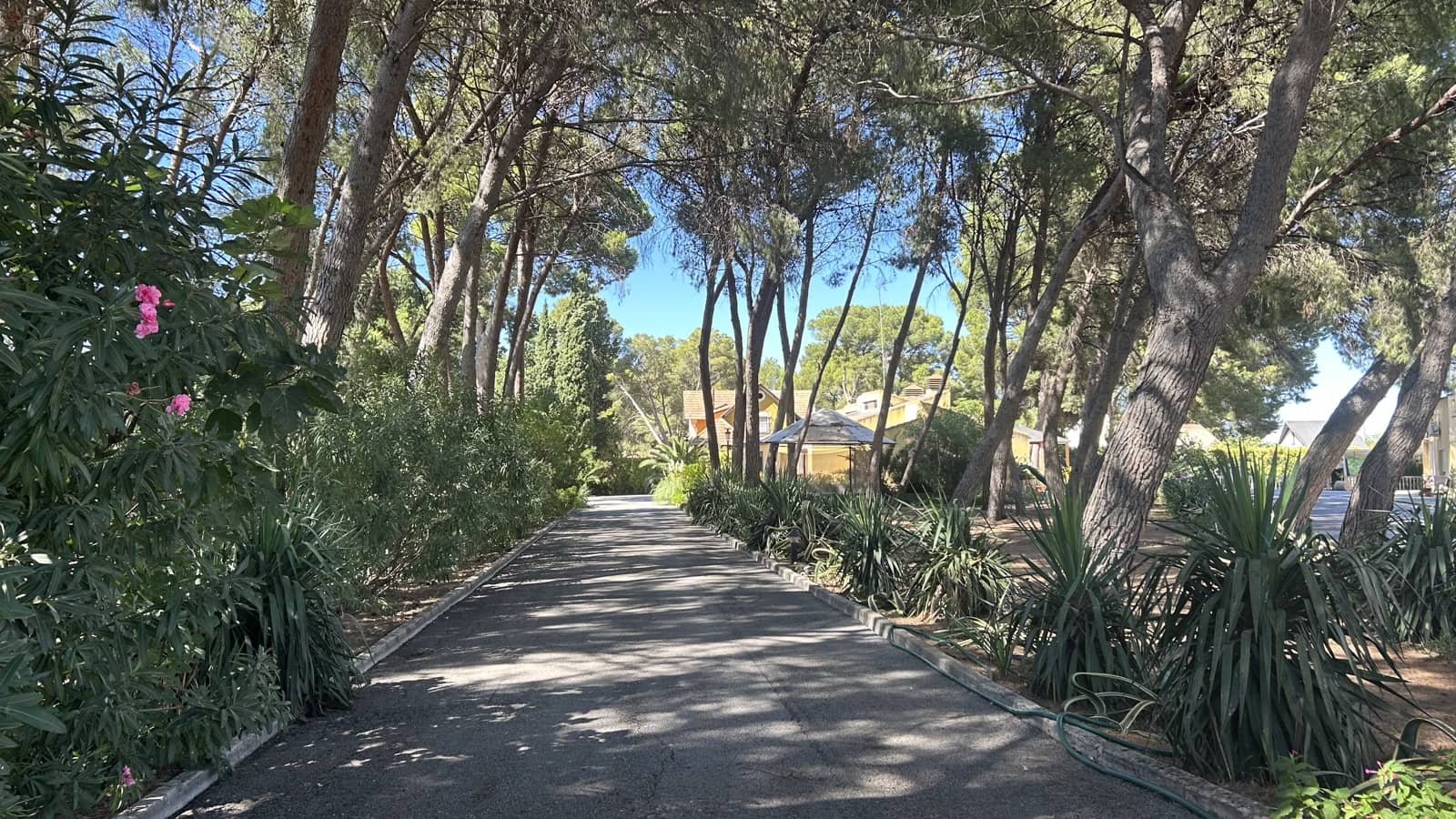 4 bedroom Villa for sale in Yecla - € 750,000 (Ref: 8935892)