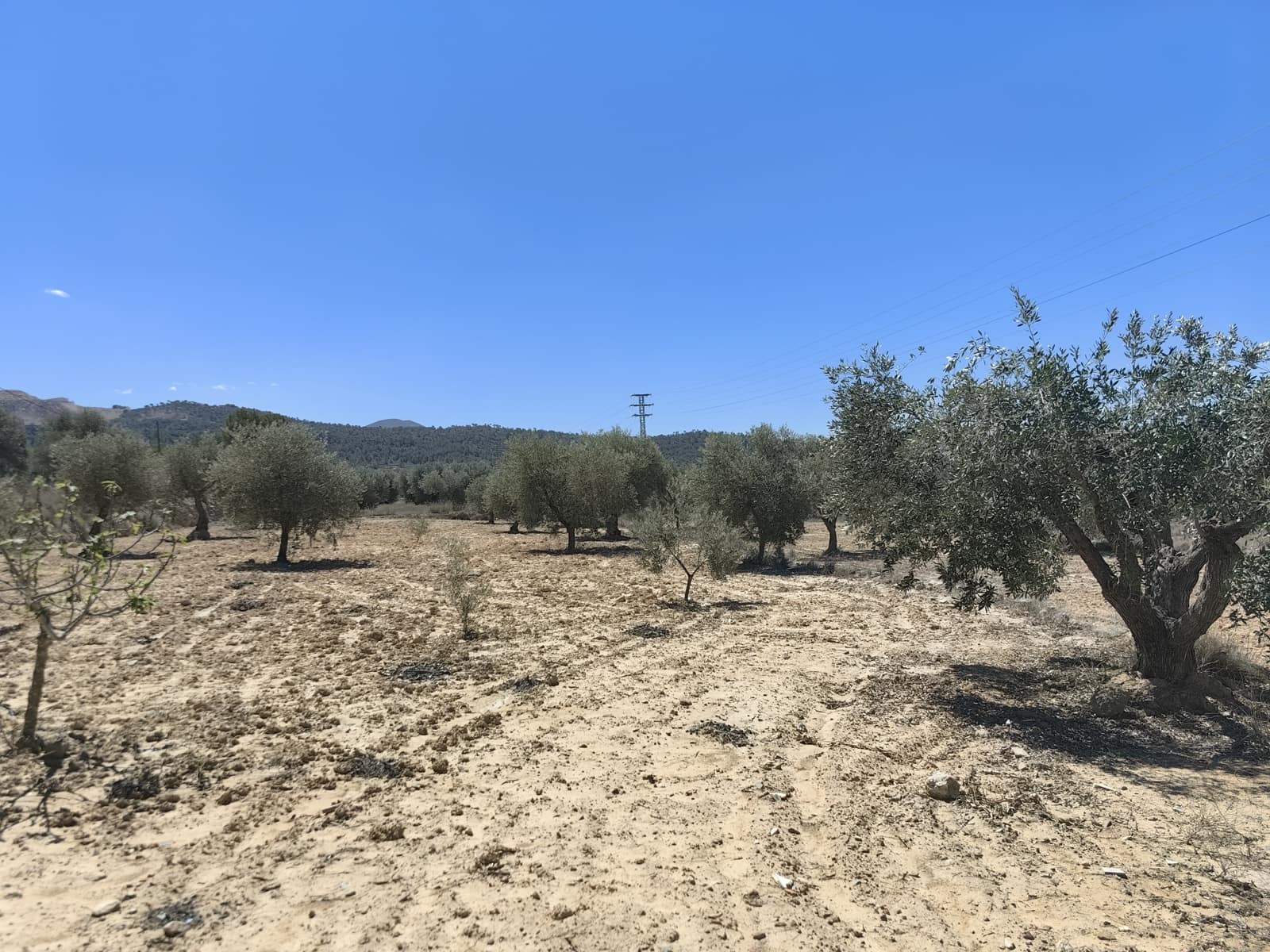 3 bedroom Finca/Country House for sale in Pinoso - € 84,900 (Ref: 8935903)