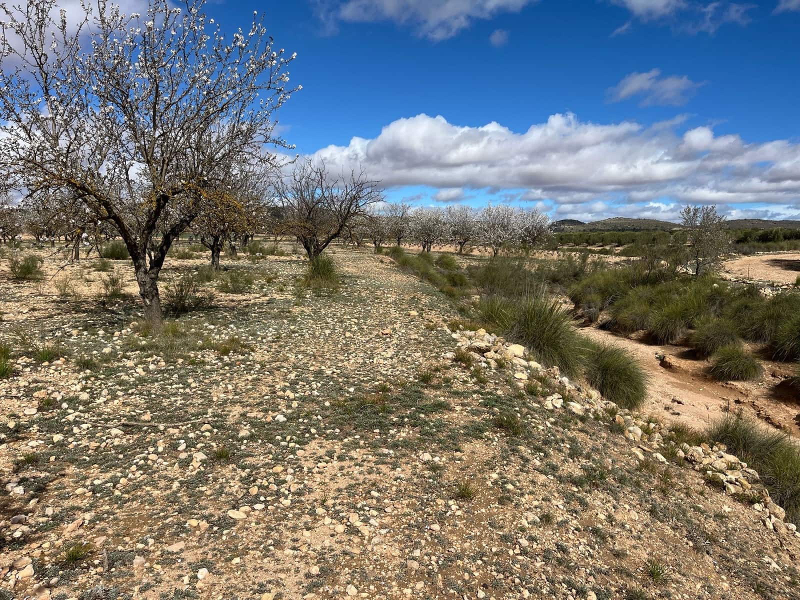 Finca/Country House for sale in Yecla - € 70,000 (Ref: 8935914)