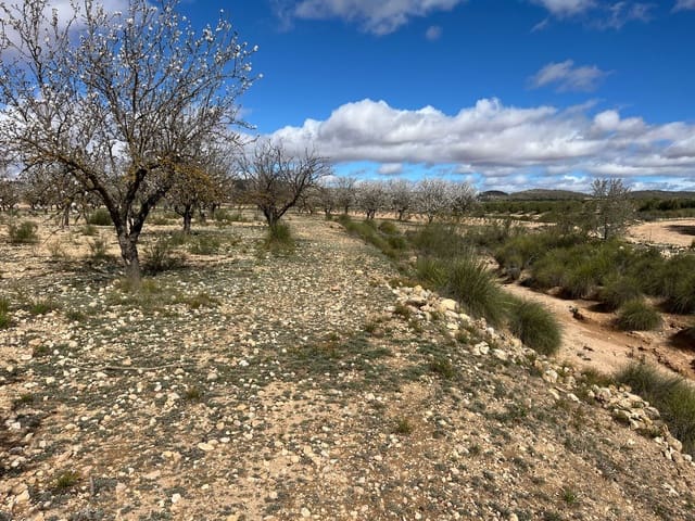 Finca/Herregård til salgs i Yecla - € 70 000 (Ref: 8935914)