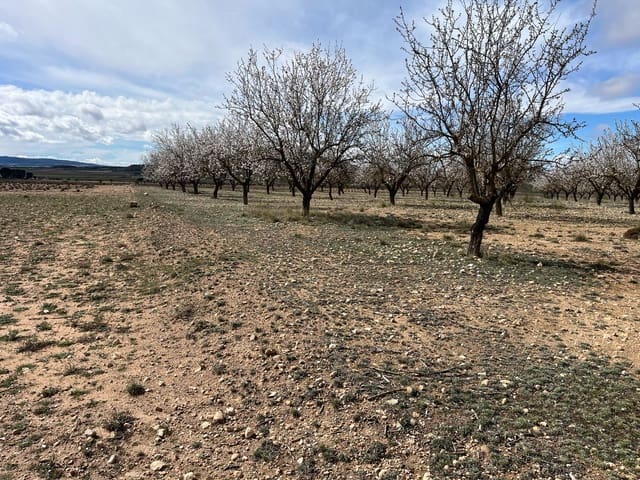 Finca/Herregård til salgs i Yecla - € 70 000 (Ref: 8935914)