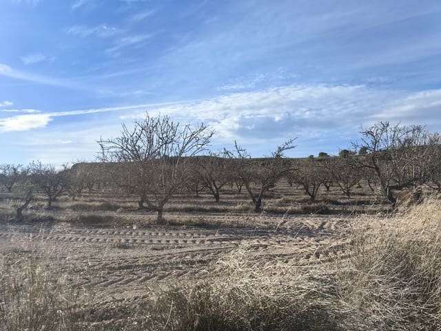 Mark till salu i Pinoso - 180 000 € (Ref: 8935920)